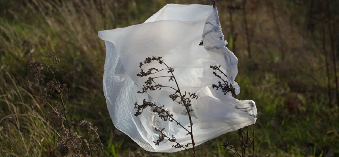 El Ministerio de Medio Ambiente promoverá una indicación sustitutiva al Congreso para prohibir la entrega de bolsas plásticas en los comercios de todo el país.