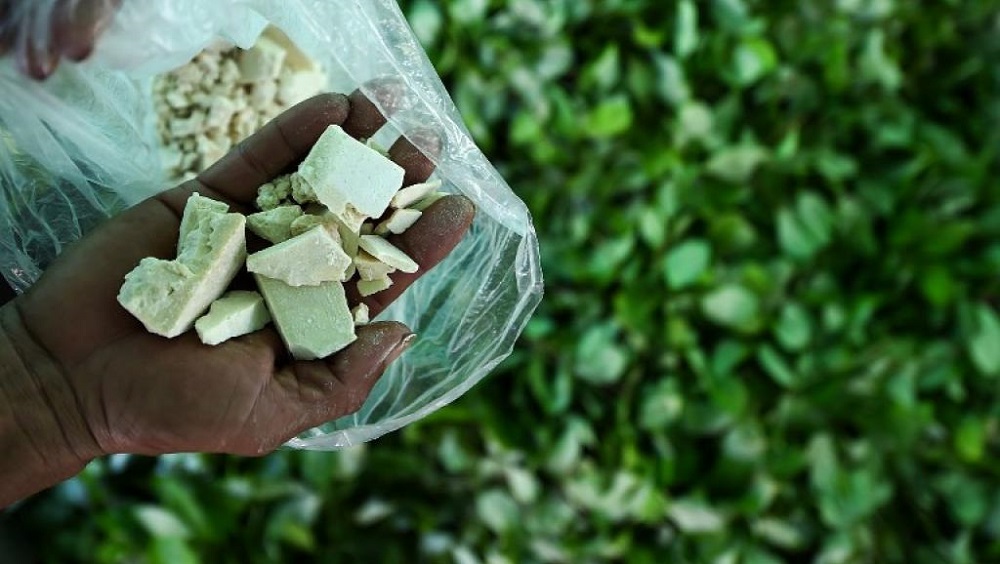 PRODUCCIÓN DE COCAÍNA DE COLOMBIA Y OPIO DE AFGANISTÁN BATE RÉCORDS