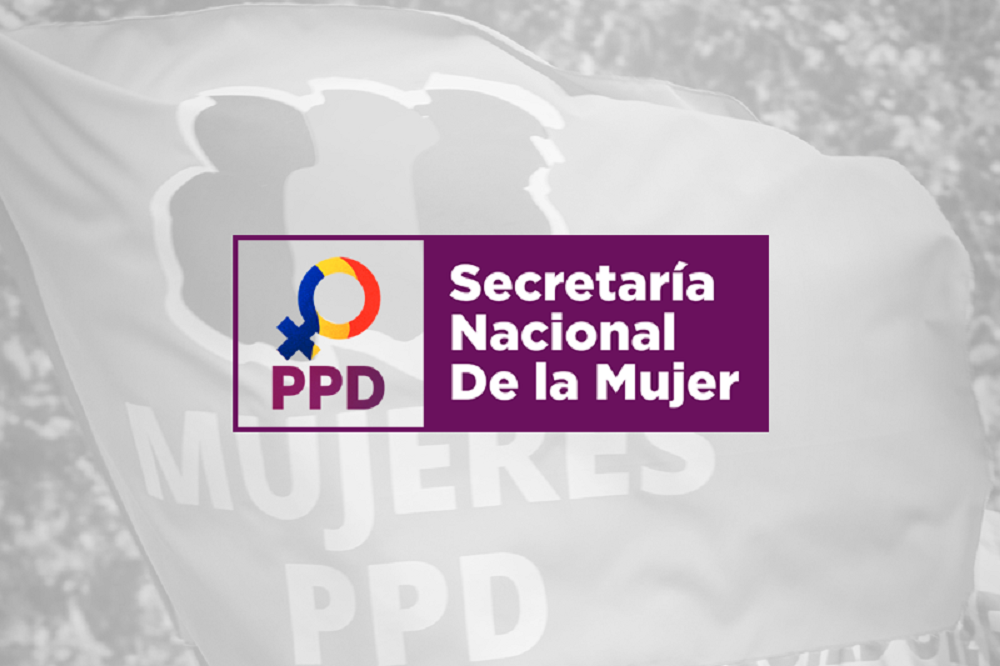 POLÍTICA / “CADA 10 DÍAS SE ESTÁ MATANDO A UNA MUJER EN CHILE Y EL PAÍS SIGUE IMPÁVIDO”