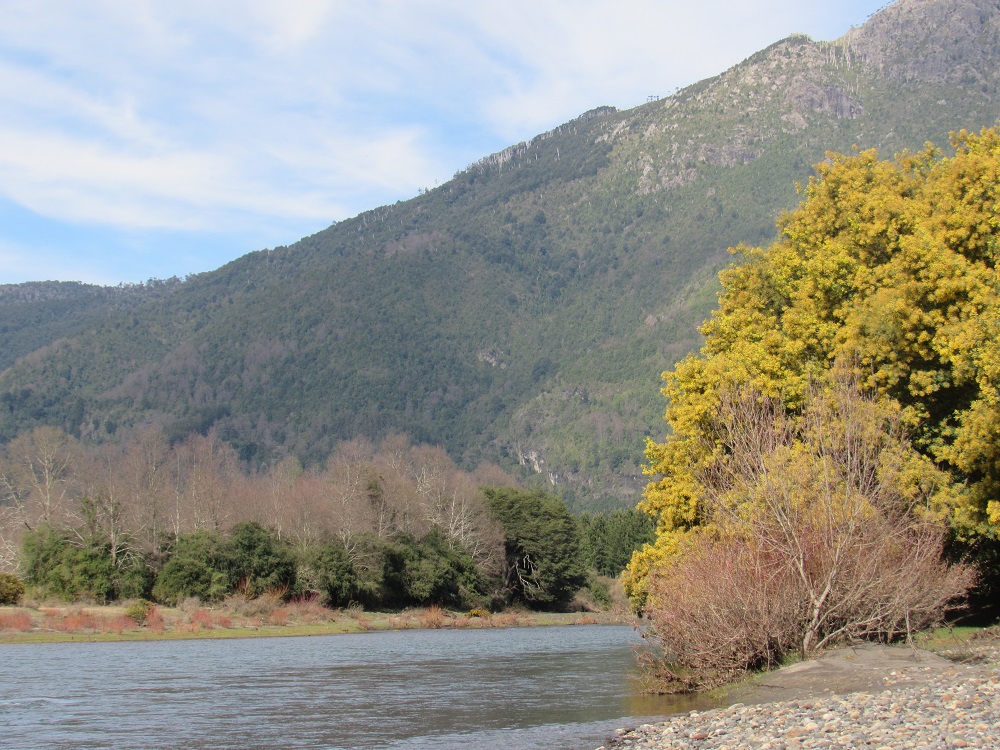 INTEGRANTES DE LA AGRUPACIÓN DE DEFENSA MEDIOAMBIENTAL DE CUNCO ANUNCIA MOVILIZACIONES EN RECHAZO A “PROYECTO HIDROELÉCTRICO SANTA OLGA”