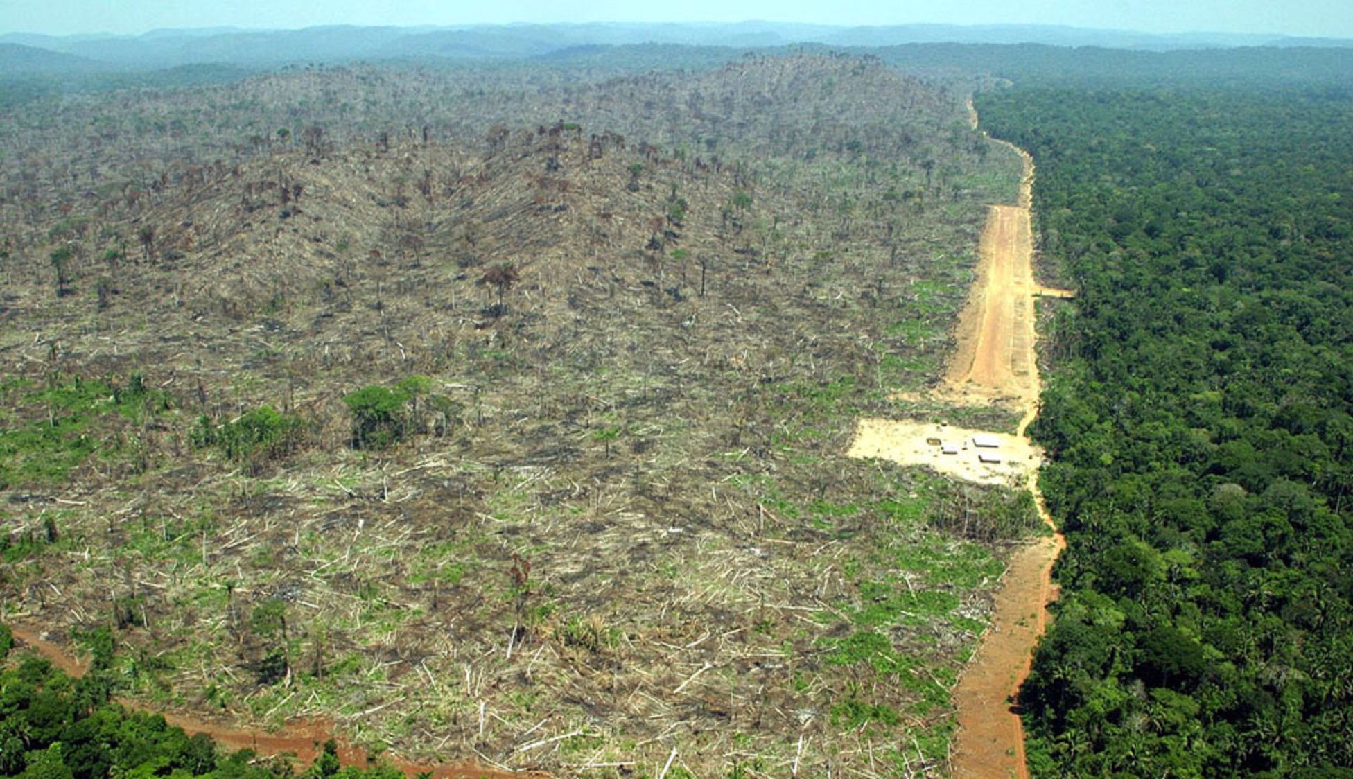  CONTAMINACIÓN DE LA AMAZONÍA: ¿QUIÉN ESTÁ DETRÁS DE LA DESTRUCCIÓN DE LA SELVA MÁS GRANDE DEL MUNDO?