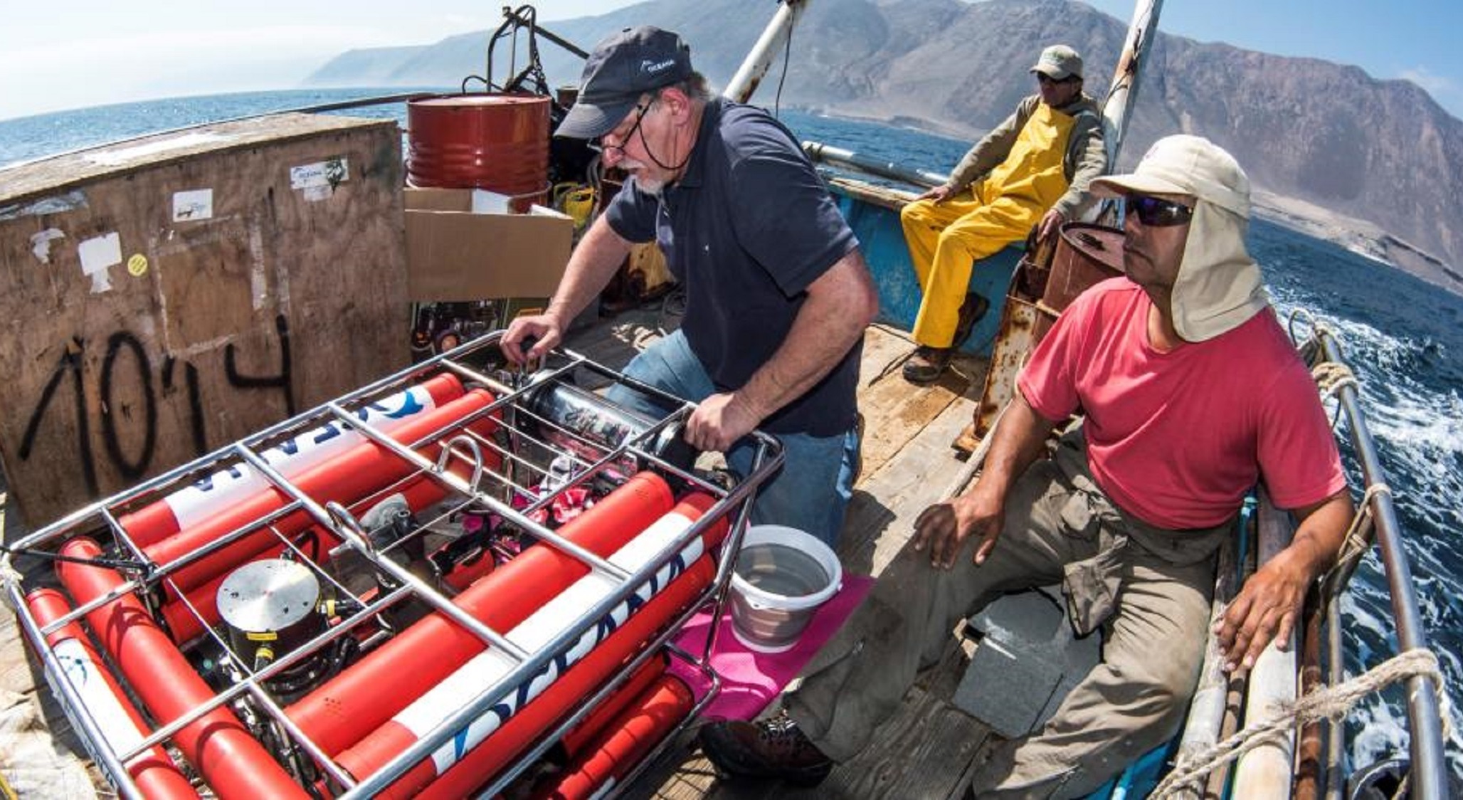 OCEANA REALIZA INÉDITA EXPEDICIÓN CIENTÍFICA EN EL NORTE DE CHILE
