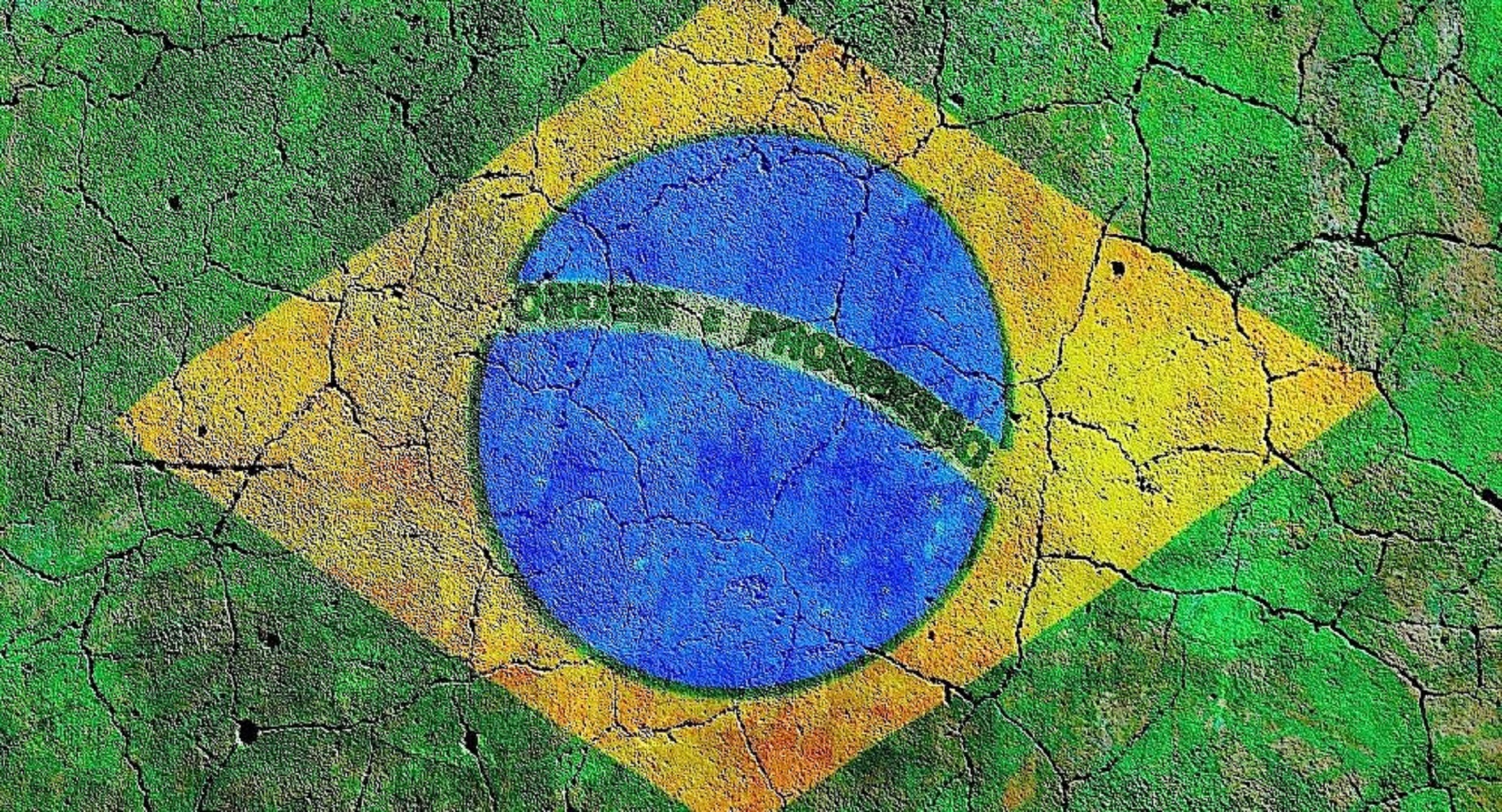BRASIL SE TIÑE DE SANGRE: ENCABEZA LA LISTA DE ACTIVISTAS MEDIOAMBIENTALES “ASESINADOS”