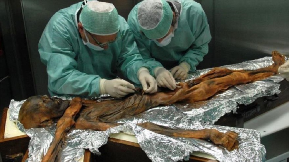 CULTURA / RESUELVEN MISTERIO DE LA DIETA DE OTZI EL “HOMBRE DE HIELO”