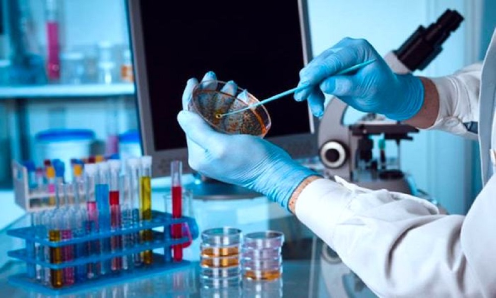 SALUD / CIENTÍFICOS IDENTIFICAN UN GEN QUE PUEDE TRATAR EL CÁNCER