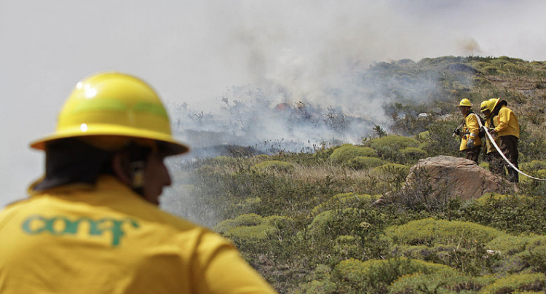  La Corporación Nacional Forestal (CONAF) confirma 17 incendios forestales registrados a nivel nacional
