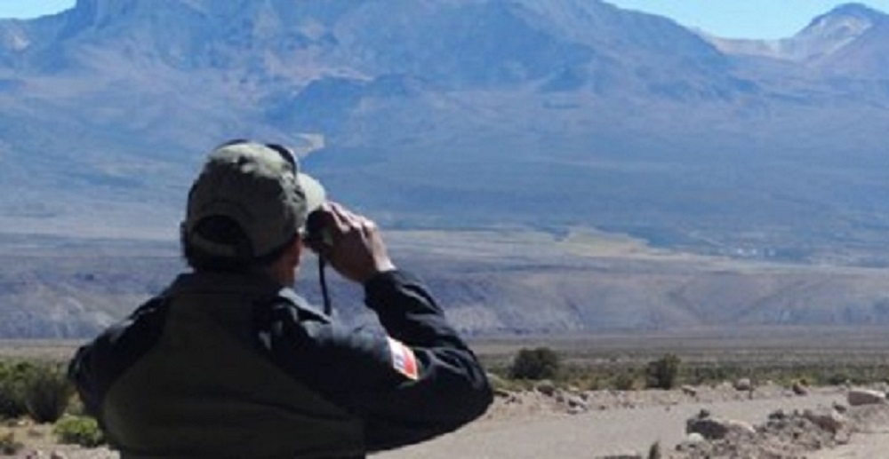 CON MÁS PUNTOS DE MONITOREO CONAF CASI DUPLICÓ CONTEO DEL ÑANDÚ DEL NORTE