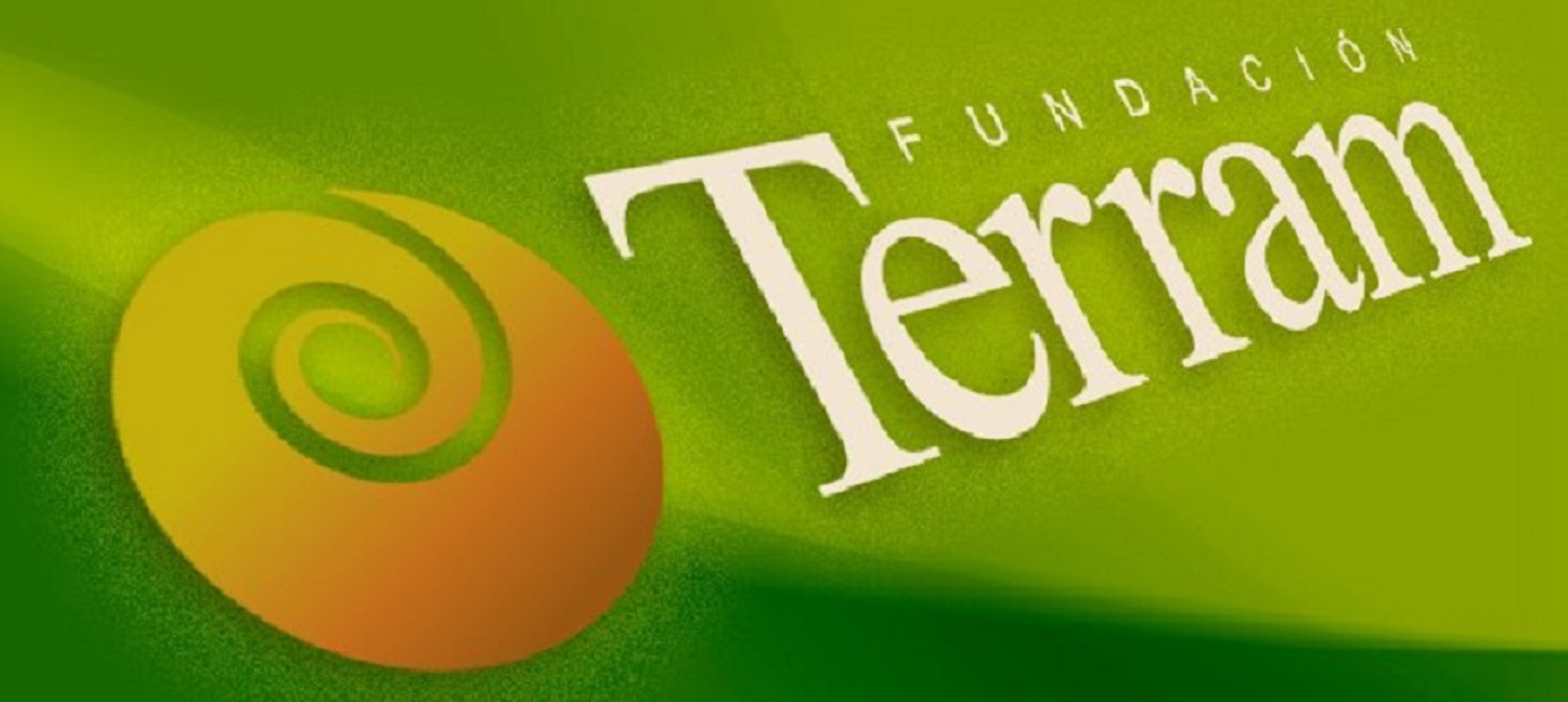 COMUNICADO FUNDACIÓN TERRAM: NEGLIGENCIA DEL ESTADO “LAS CAUSAS TRAS LA NUBE TÓXICA EN QUINTERO