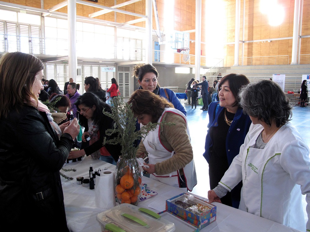 MÁS DE 300 PERSONAS DISFRUTARON DE LA PRIMERA FERIA DE SERVICIOS PARA ADULTOS MAYORES EN PIRQUE