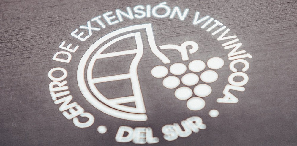 NEGOCIOS / 1° SEMINARIO ESTABLECIMIENTO MANEJO INTEGRAL DEL VIÑEDO Y PRODUCCIÓN DE ESPUMANTES COMO ALTERNATIVA PARA LA ZONA SUR DE CHILE