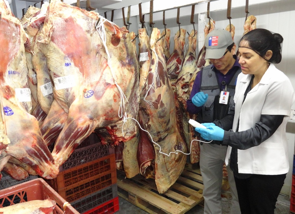 SALUD / SEREMI DE SALUD DE ARICA INTENSIFICA FISCALIZACIONES A CARNICERÍAS EN VÍSPERAS DE FIESTAS PATRIAS