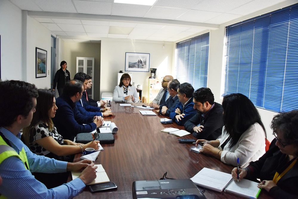 NEGOCIOS / ALIANZA PÚBLICO-PRIVADA BUSCA POTENCIAR COMERCIO EXTERIOR DE LA REGIÓN DE ARICA Y PARINACOTA