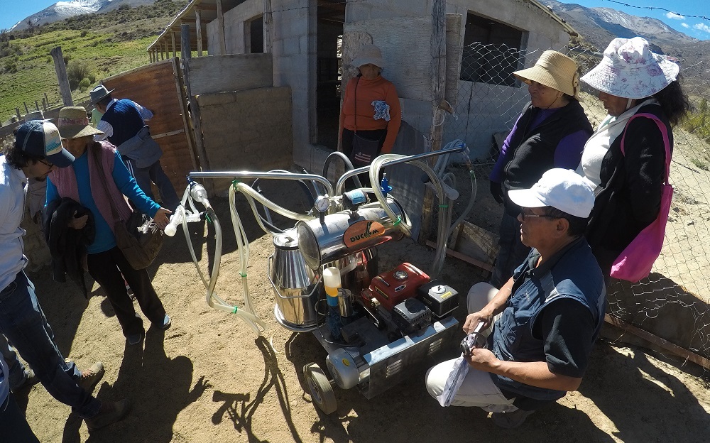 SALUD / SEREMI DE SALUD DE ARICA CAPACITÓ EN NORMATIVA SANITARIA A PRODUCTORES DE QUESO DE CABRA DE COMUNA DE PUTRE