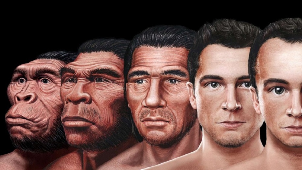 CIENCIA / UN GRUPO DE CIENTÍFICOS ESTÁ ESTUDIANDO CÓMO EVOLUCIONARÁ LA APARIENCIA DEL SER HUMANO EN EL TRANSCURSO DEL TIEMPO