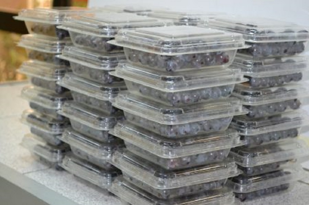 NEGOCIOS / UDT DESARROLLARÁ NUEVOS PROYECTOS SOBRE PLÁSTICOS BIODEGRADABLES