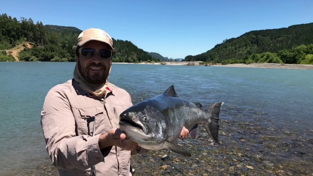 EN LA COMUNA DE TEODORO SCHMIDT SE REALIZARÁ LA FERIA DEL «REMONTE DEL SALMÓN CHINOOK DEL RIO TOLTÉN»