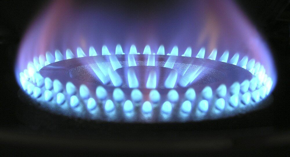 NEGOCIOS / ARGENTINA Y BOLIVIA AVANZAN A PASO RÁPIDO PARA COMPRAVENTA DE GAS NATURAL