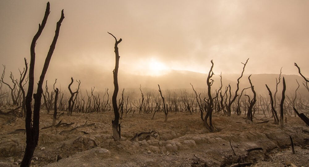 NEGOCIOS / EL FONDO MONETARIO INTERNACIONAL (FMI) CONSIDERA AL «CAMBIO CLIMÁTICO» LA MAYOR AMENAZA QUE AFRONTA LA HUMANIDAD EN ESTE MOMENTO