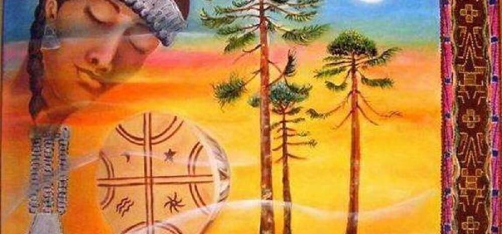 CULTURA / CONADI AGILIZARÁ ENTREGA DE CALIDAD INDÍGENA CON SISTEMA ONLINE ARA APELLIDOS MAPUCHE
