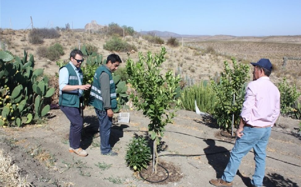 SAG entregará 1.015 millones a agricultores para que puedan recuperar la calidad de sus suelos