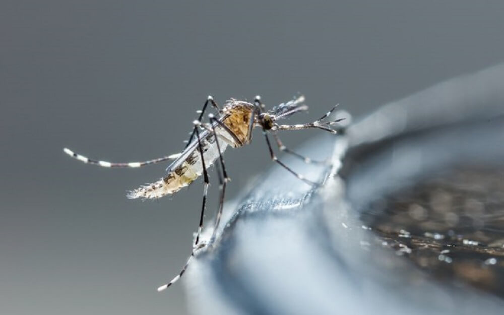 Expertos advierten que la crisis en Venezuela podría llevar al resurgimiento de enfermedades infecciosas y su propagación a otros países