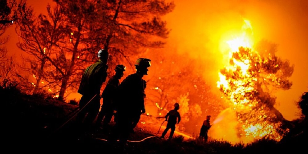  Brigadistas de CONAF La Araucanía volvieron al combate de incendios forestales