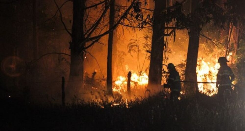 Incendios en Aysén: «Una pérdida invaluable de Bosque Nativo»