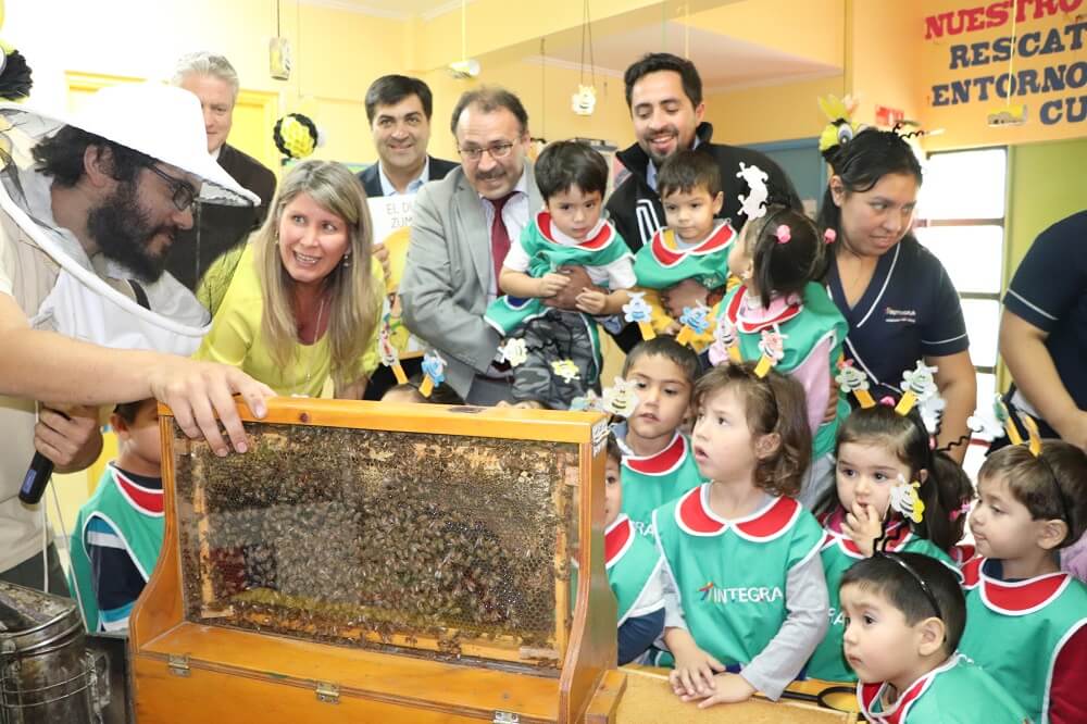  Convenio SAG – INTEGRA: Con entretenido cuento enseñan a prescolares el mundo de las abejas