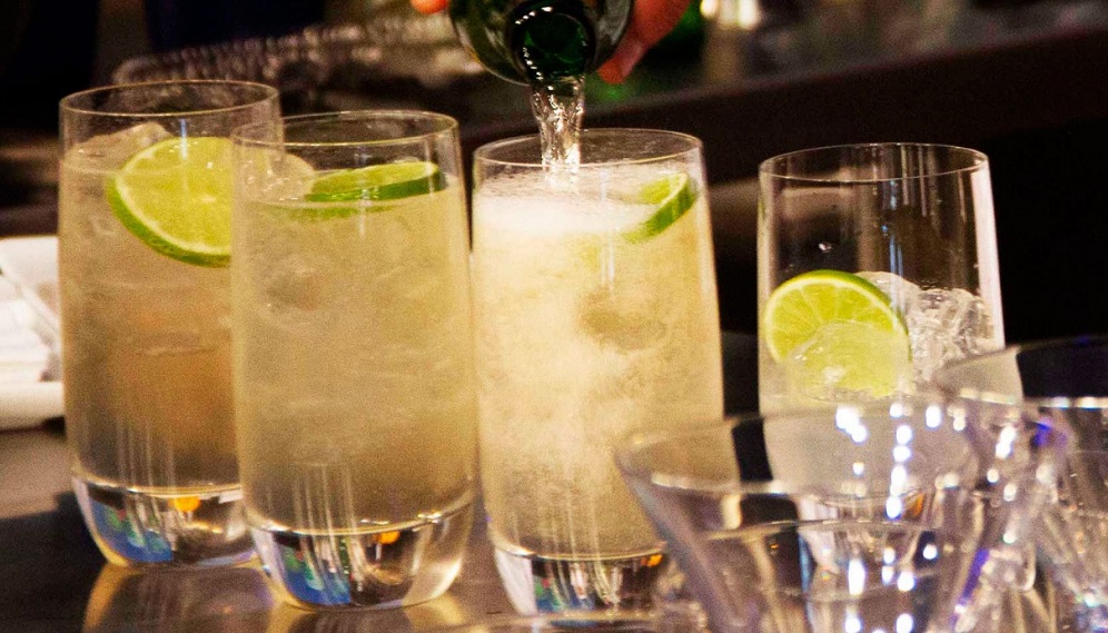Diputados UDI reafirman su compromiso con la denominación de origen del Pisco durante celebración en Paihuano
