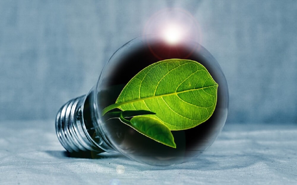 En la Región de Valparaíso Fedefruta y Corfo «identifican las principales barreras para la innovación del sector frutícola»