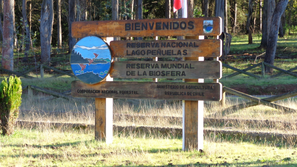  CONAF recoge ideas de la comunidad para proteger la flora y fauna de la Reserva Nacional Lago Peñuelas