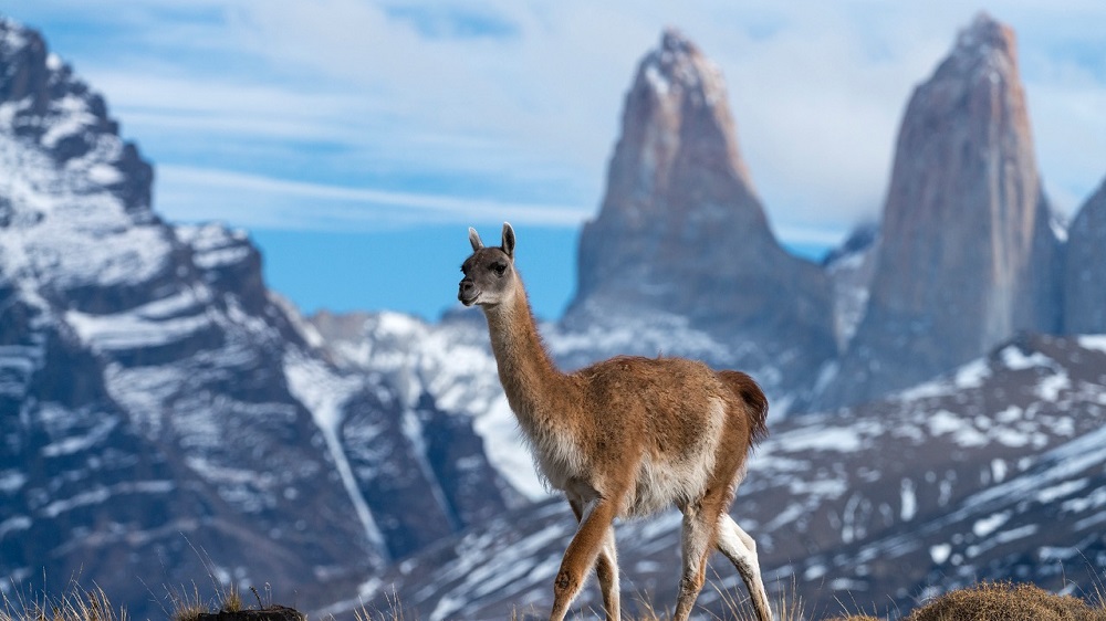 Chile suma nuevas Zonas de Interés Turístico al territorio