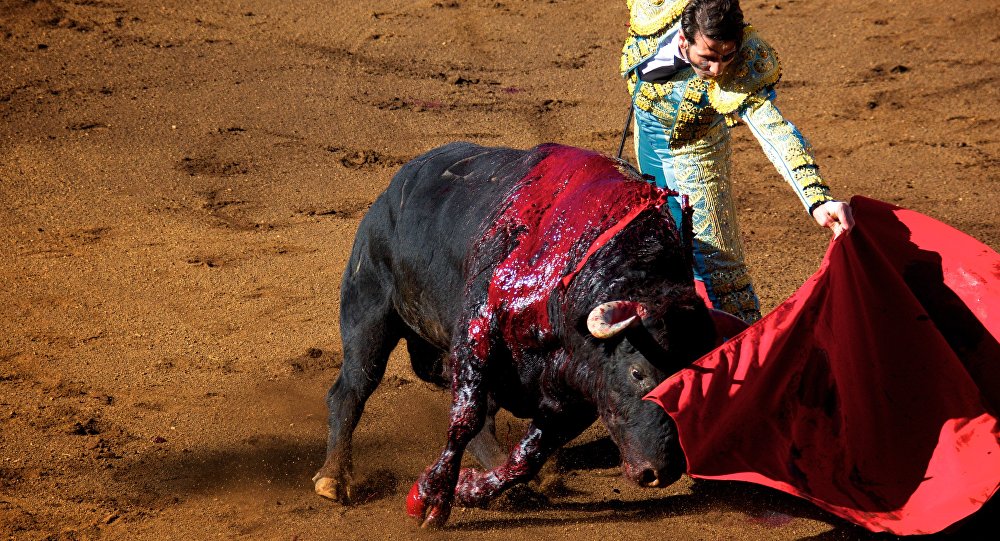 Tauromaquia, «no es arte ni cultura… es la tortura hecha espectáculo»