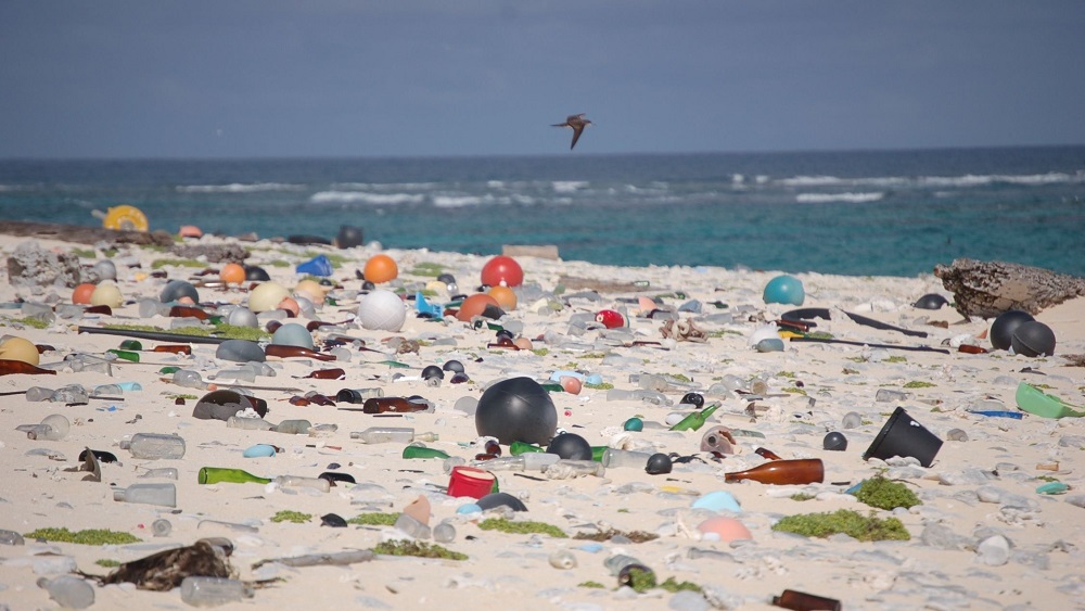  Oceana y Plastic Oceans Chile llaman a descontaminar los mares de artículos desechables y de plásticos