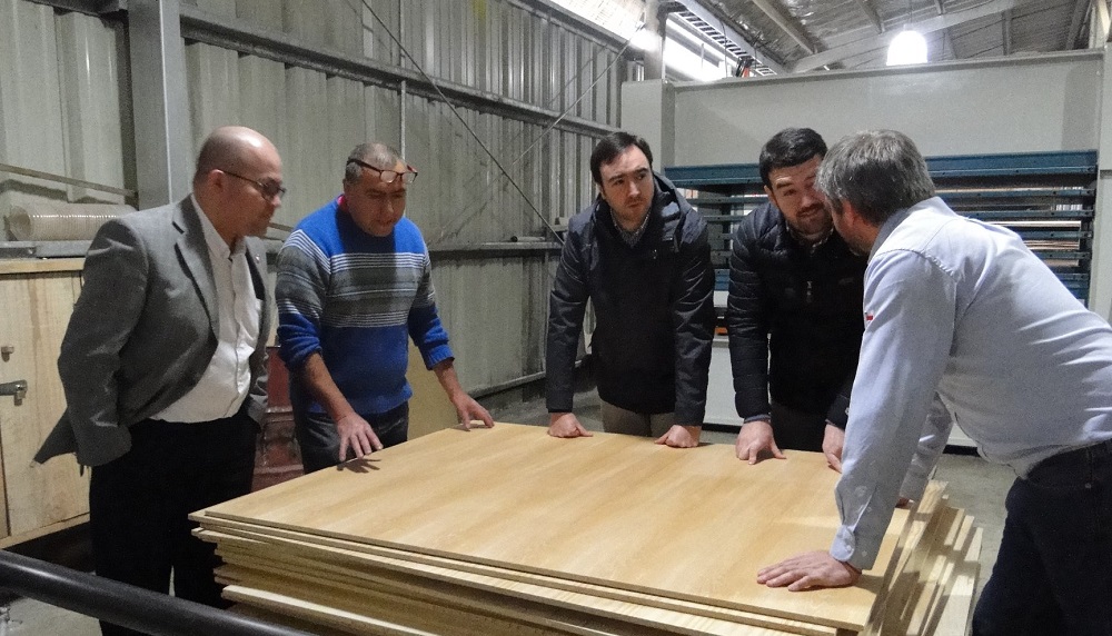  Mercado de la madera elaborada de La Araucanía prospecta mercados internacionales