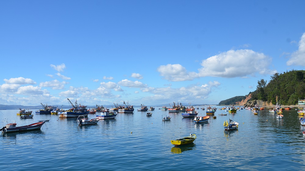 Hasta el 31 de julio estarán abiertas en el BioBío las postulaciones para los proyectos FAP 2019 de Subpesca