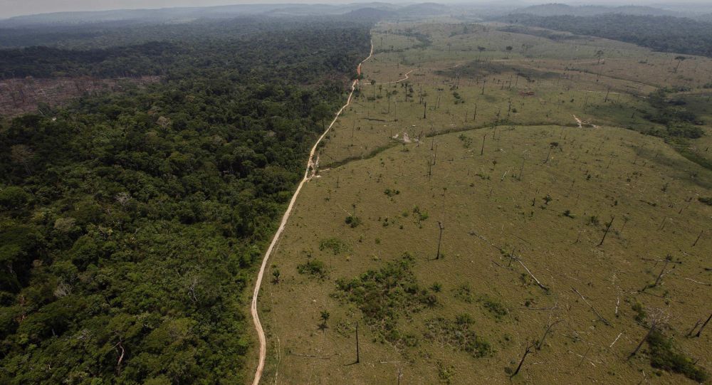  Alemania cortará fondos enviados a Brasil para la preservación de la Amazonia