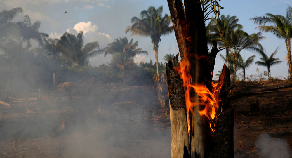  Dramáticas imágenes del fuego en la Amazonía y una voz que no calla (fotos)