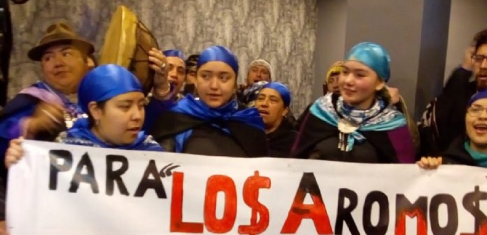 La Red de Acción por los Derechos Ambientales (RADA) rechaza proyecto Los Aromos y manifiesta su apoyo al Lof Karilafquen