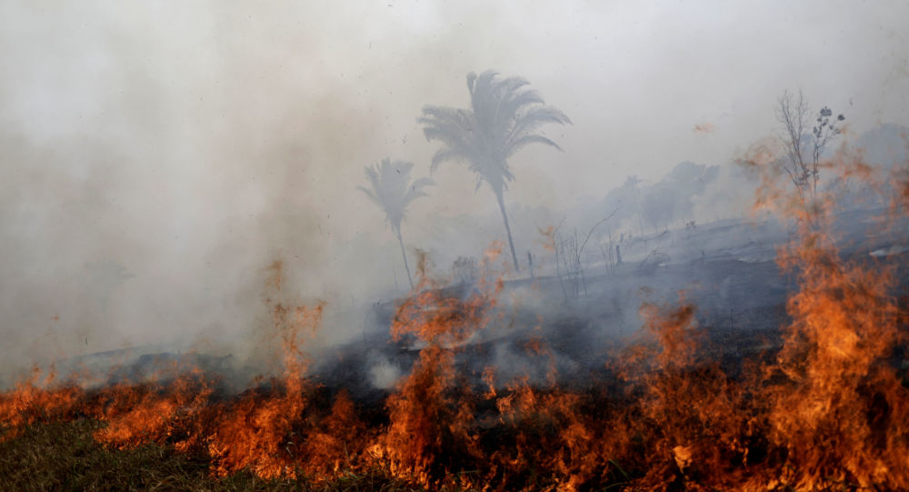  Canciller brasileño: incendios en la Amazonía pueden ser pretexto para una «guerra» contra Brasil
