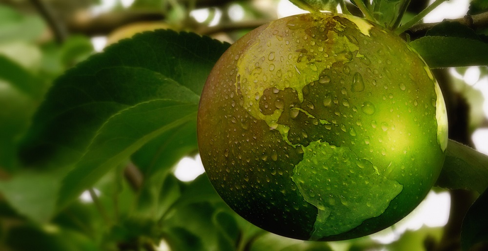 Medición Huella de Carbono y Compensación con el Medio Ambiente: #Fruittrade2019 de Fedefruta será la primera feria «Climate Friendly» del agro