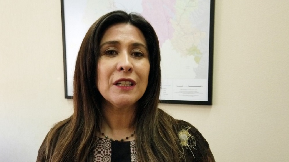 Diputada Jenny Álvarez (PS) por derrame de aguas servidas en Ancud: «Estamos en condiciones de pedir fin de la concesión de Essal» (video)