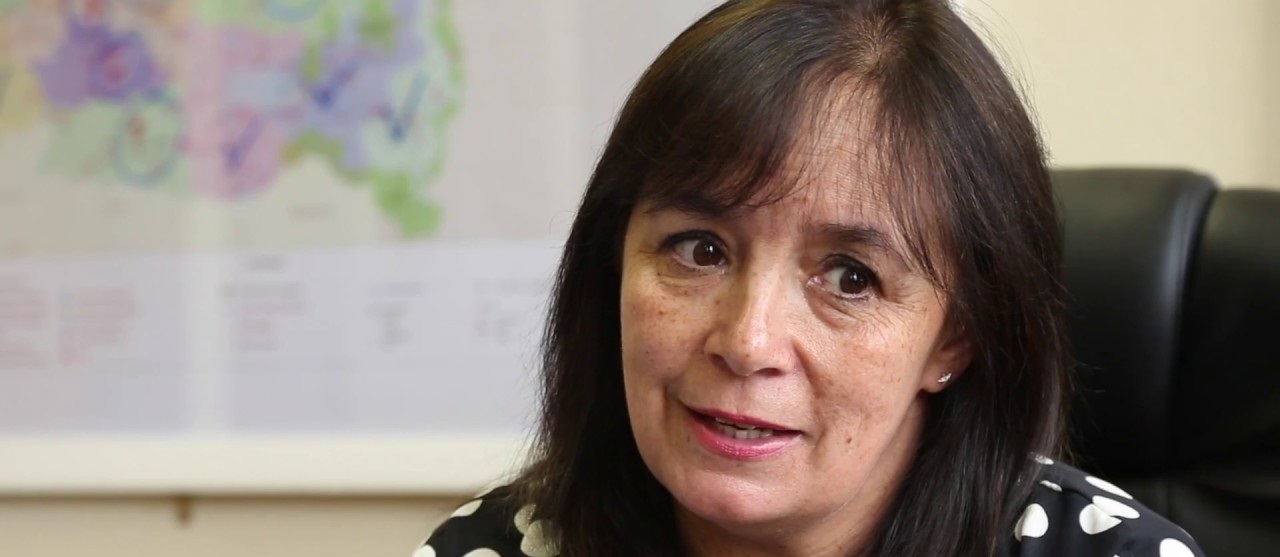 Parlamentarios de la Araucanía solicitan que Contraloría instruya auditoría y se transparente entrega de tierras por parte de Conadi
