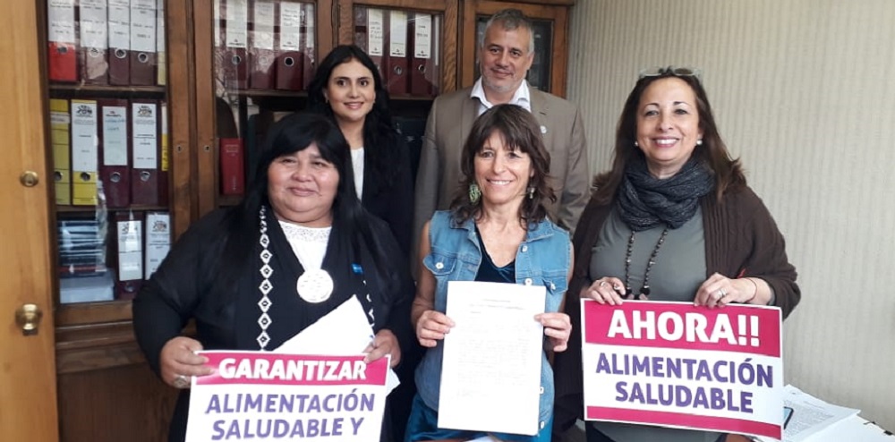 Diputada Cristina Girardi (PPD) presentó proyecto de Reforma para garantizar el derecho a la alimentación