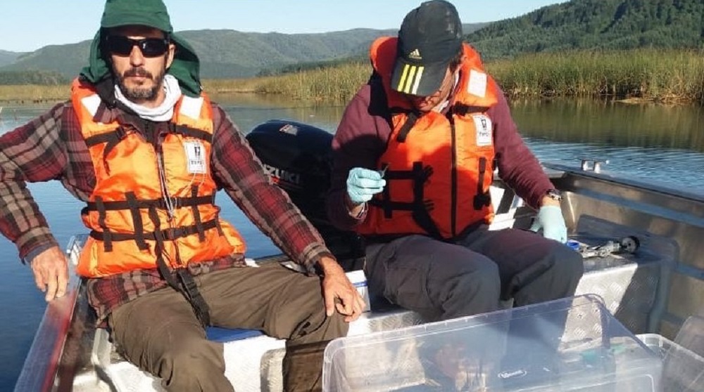  ADN ambiental en Chile: científicos toman muestras de agua para identificar especies