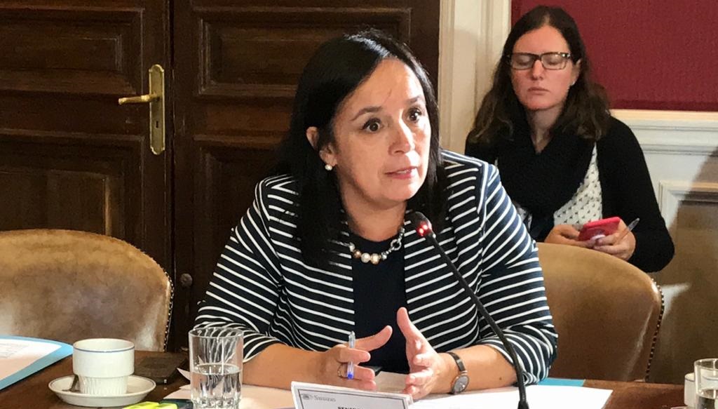  Senadora Aravena pide al Gobierno utilizar herramientas para detener acciones terroristas