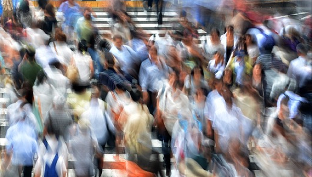 Encuesta Pulso Ciudadano | «Un 79,3% se encuentra de acuerdo con que se cambie la Constitución actual»
