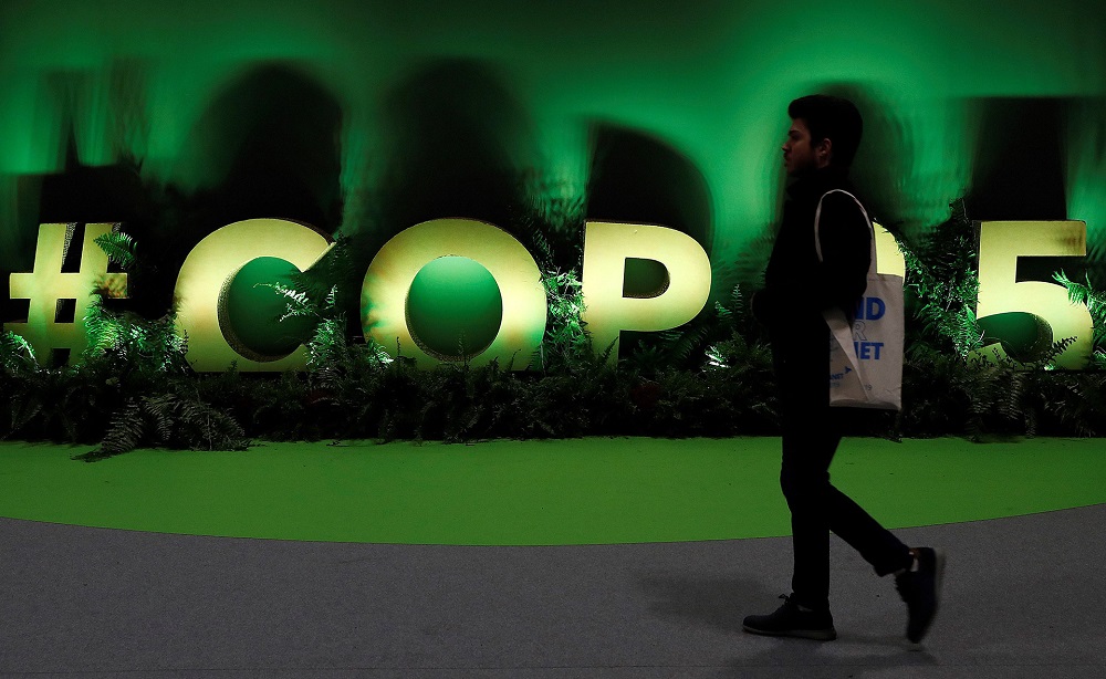  WWF Chile | Las cinco claves para cerrar una COP25 exitosa
