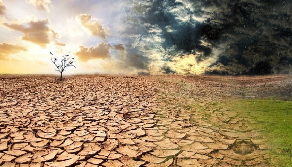 Por Giovanni Calderón Bassi | 2020 – El año del agua