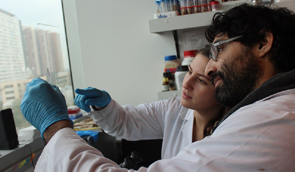  Hallazgo | Científicos de la U. de Chile participan en descubrimiento de elemento del genoma que sería clave en la que sería clave en la respuesta inmunológica a las vacunas